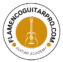 flamencoguitarpro.com
